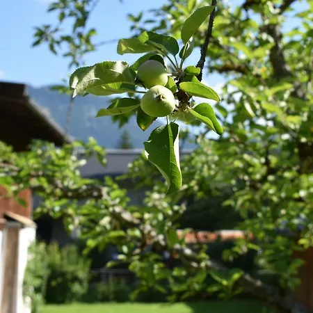 Am Gebraweg In In Tirol - Saalbach, Leogang, Hochfilzen, Kitzbuehel Casa de Férias